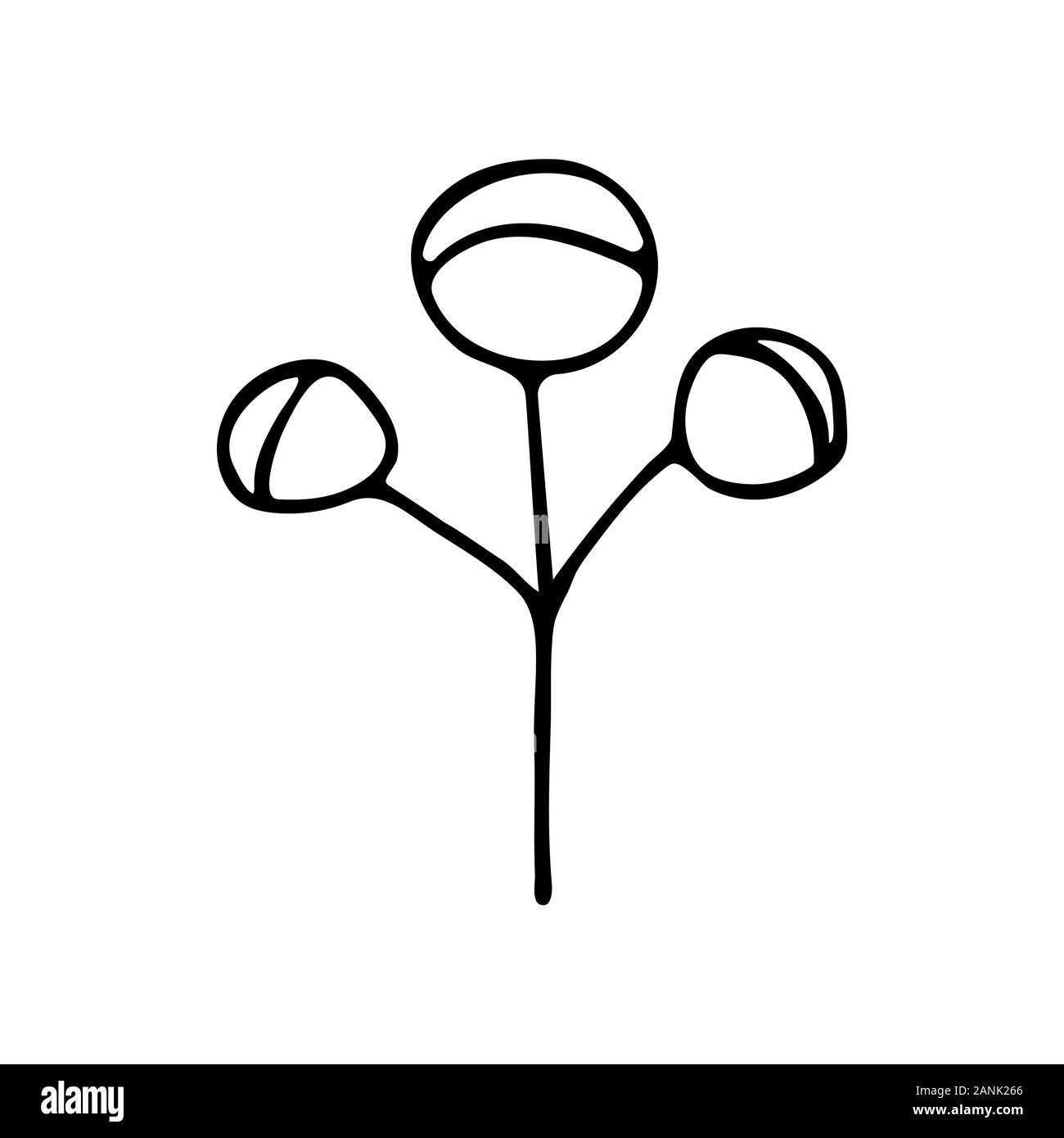 Fleur de coton. Trois. Noir et blanc illustration style doodle. La qualité produit respectueux de l'environnement pour la couture des vêtements Illustration de Vecteur