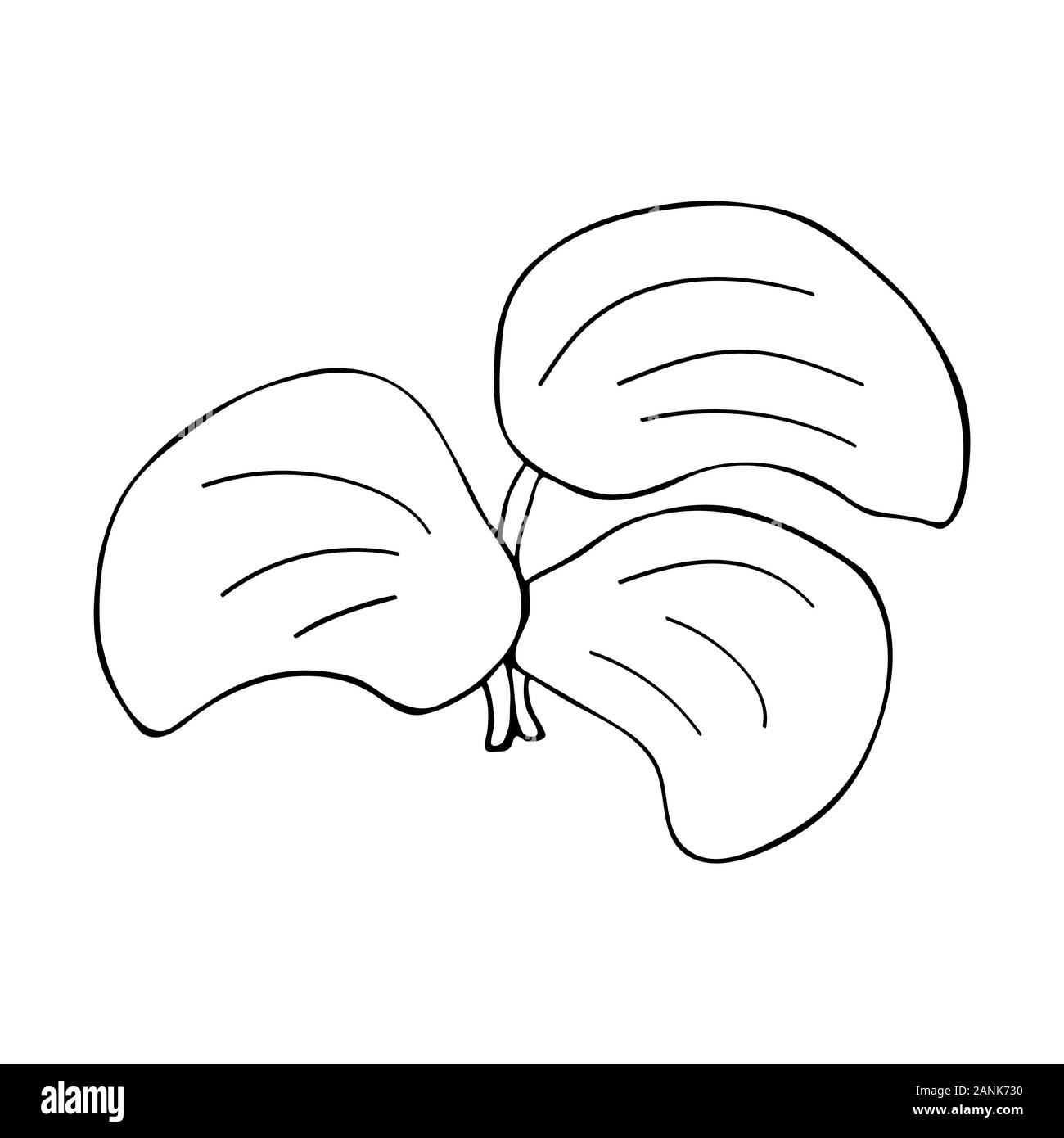 Printemps Été plante en style doodle. Illustration noir et blanc simple Illustration de Vecteur