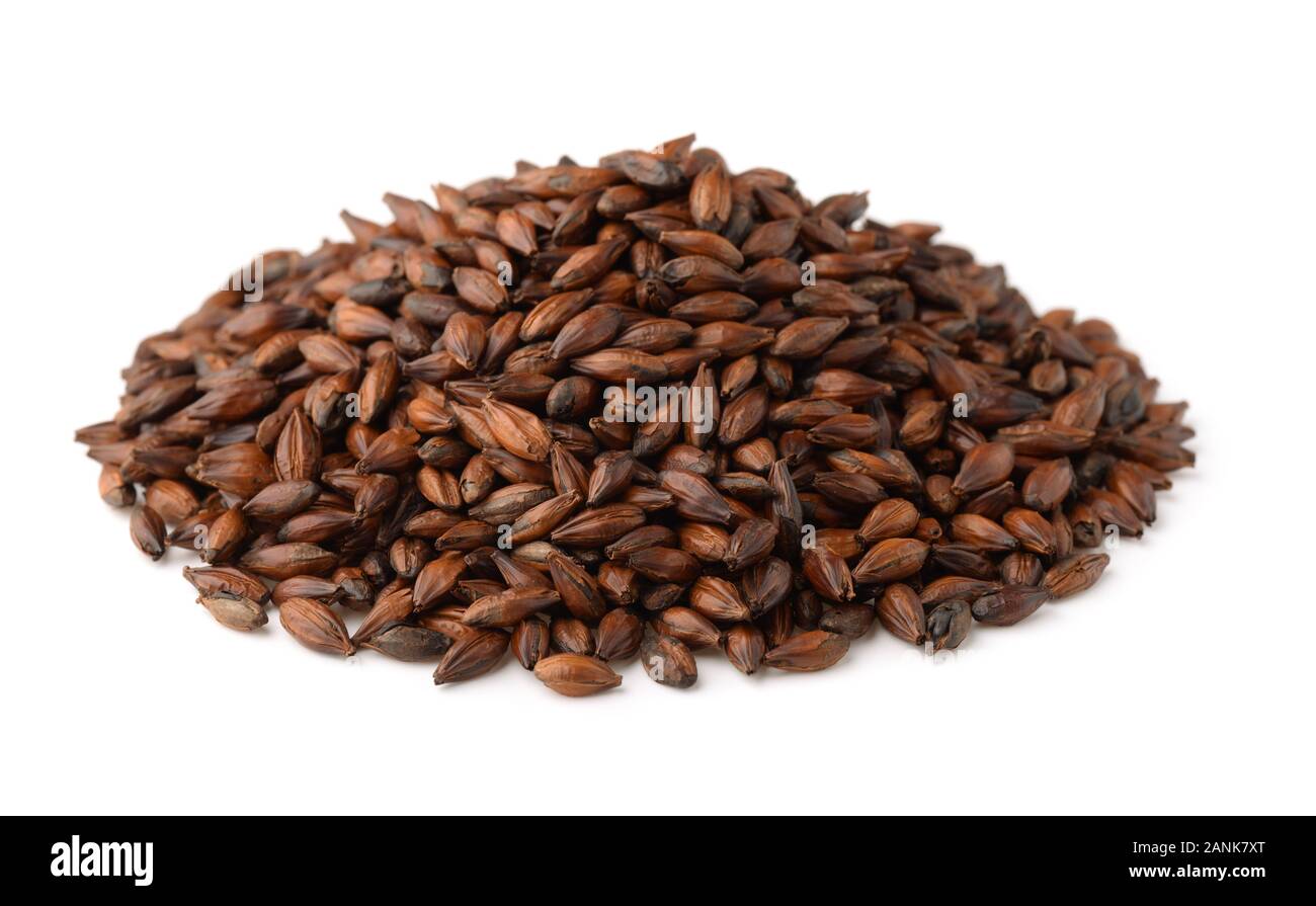 Pile de l'orge maltée seeds isolated on white Banque D'Images