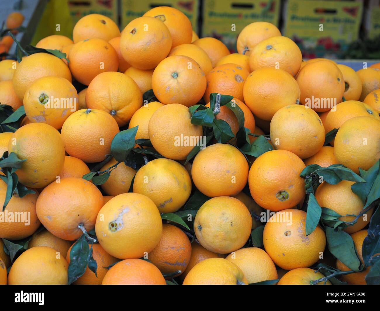 Orange douce (Citrus sinensis x) fruits nourriture végétarienne Banque D'Images