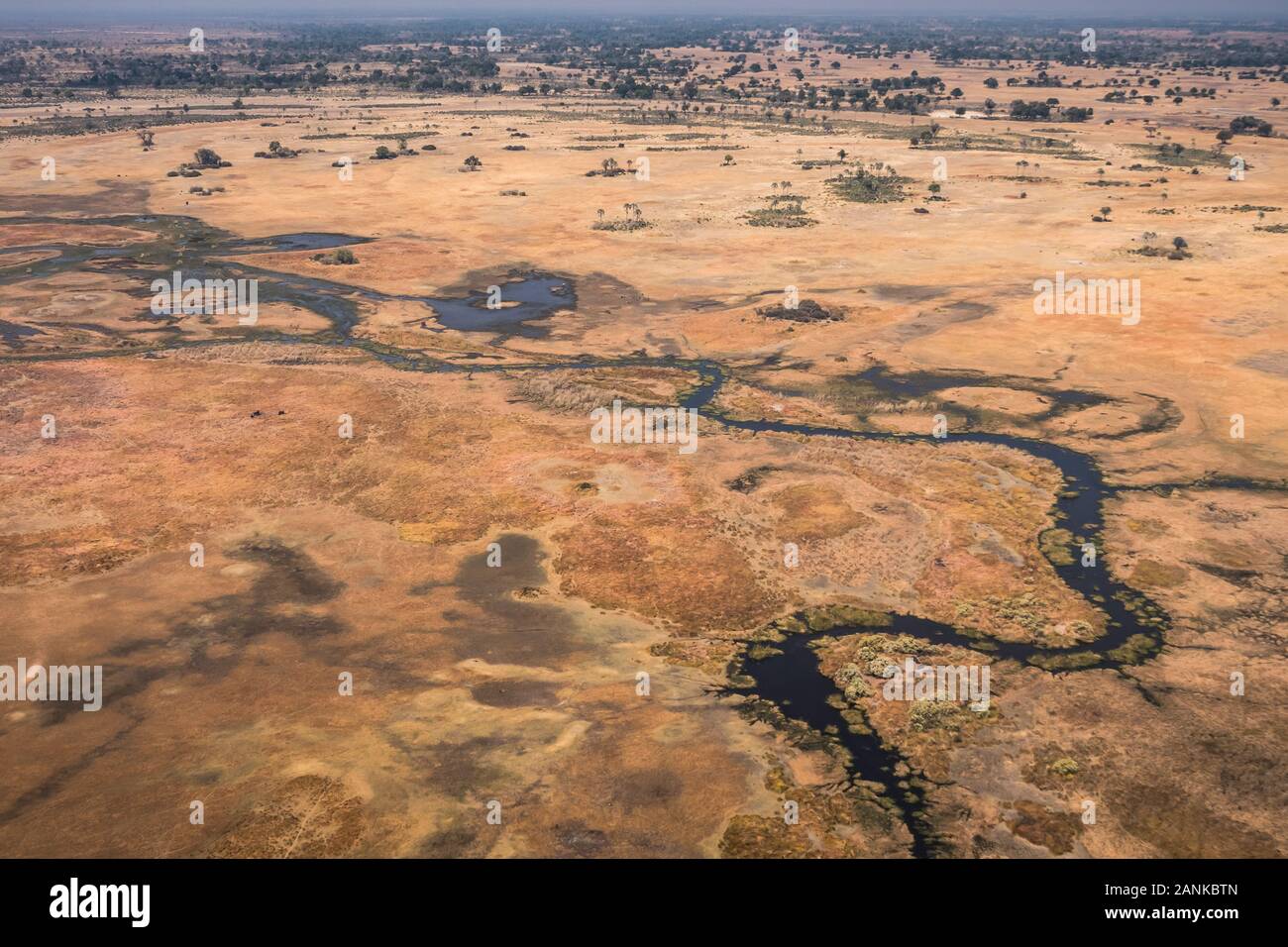 Delta de l'Okavango, aérienne, magnifique paysage coloré sec avec rivière bleu foncé et orange savane aride Banque D'Images