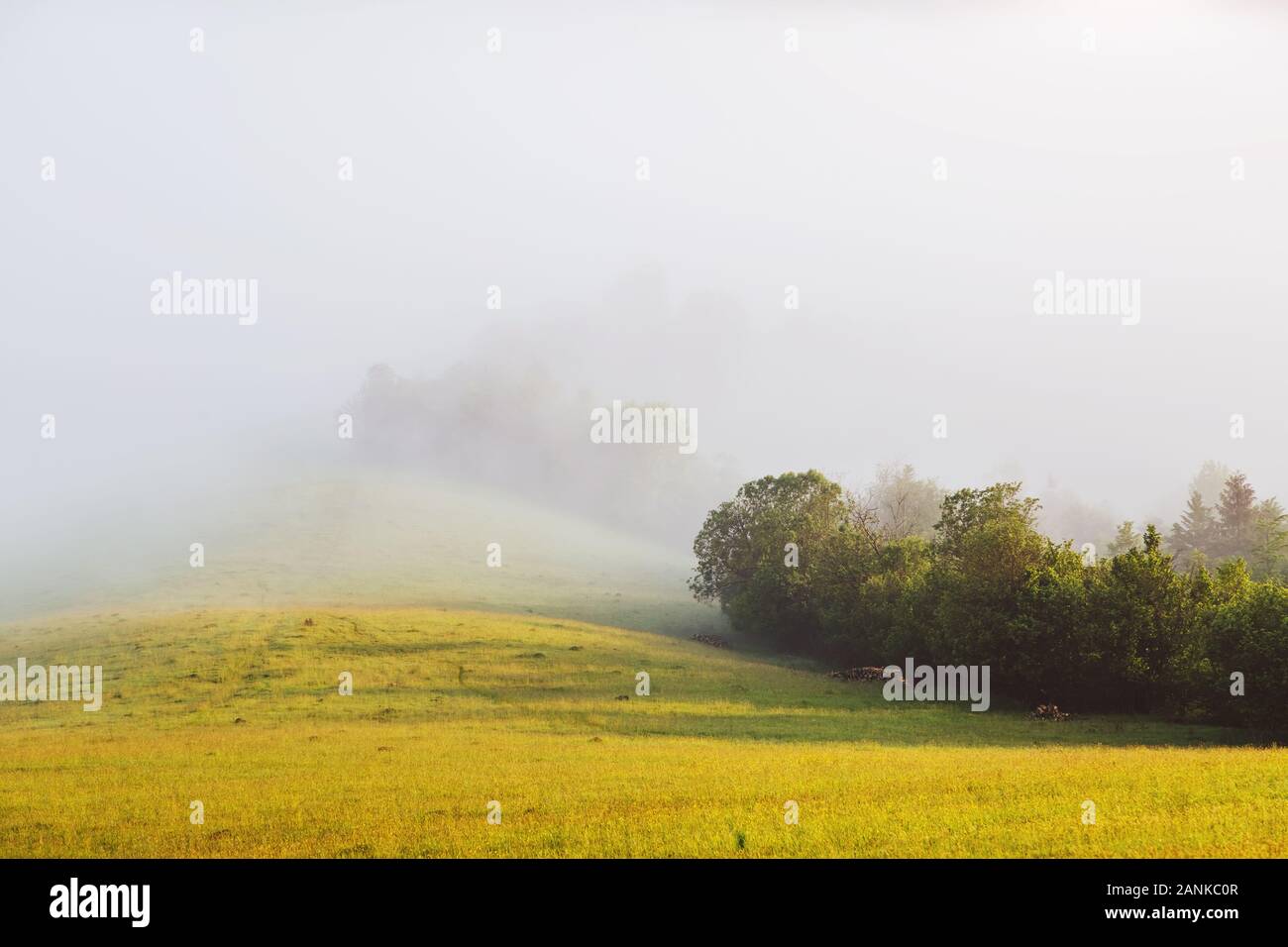 La campagne autour d'une ferme dans la lumière du matin. Magnifique journée et magnifique scène. Emplacement Placez Carpathian, l'Ukraine, l'Europe. Vacances parfaites Banque D'Images