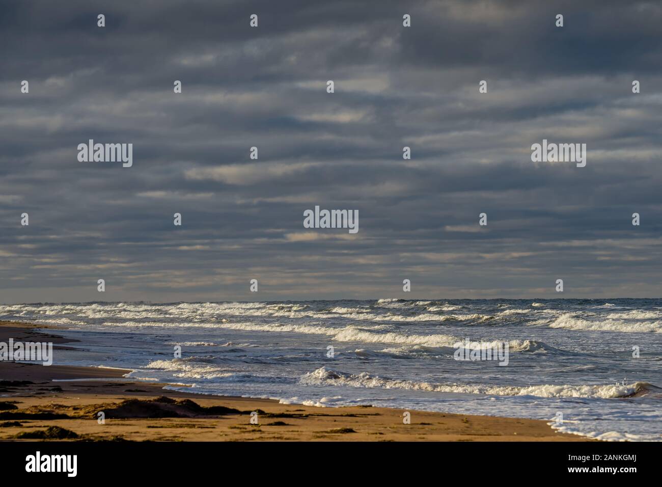 Mer forte le long des rives du milieu rural de l'Île du Prince-Édouard, Canada. Banque D'Images