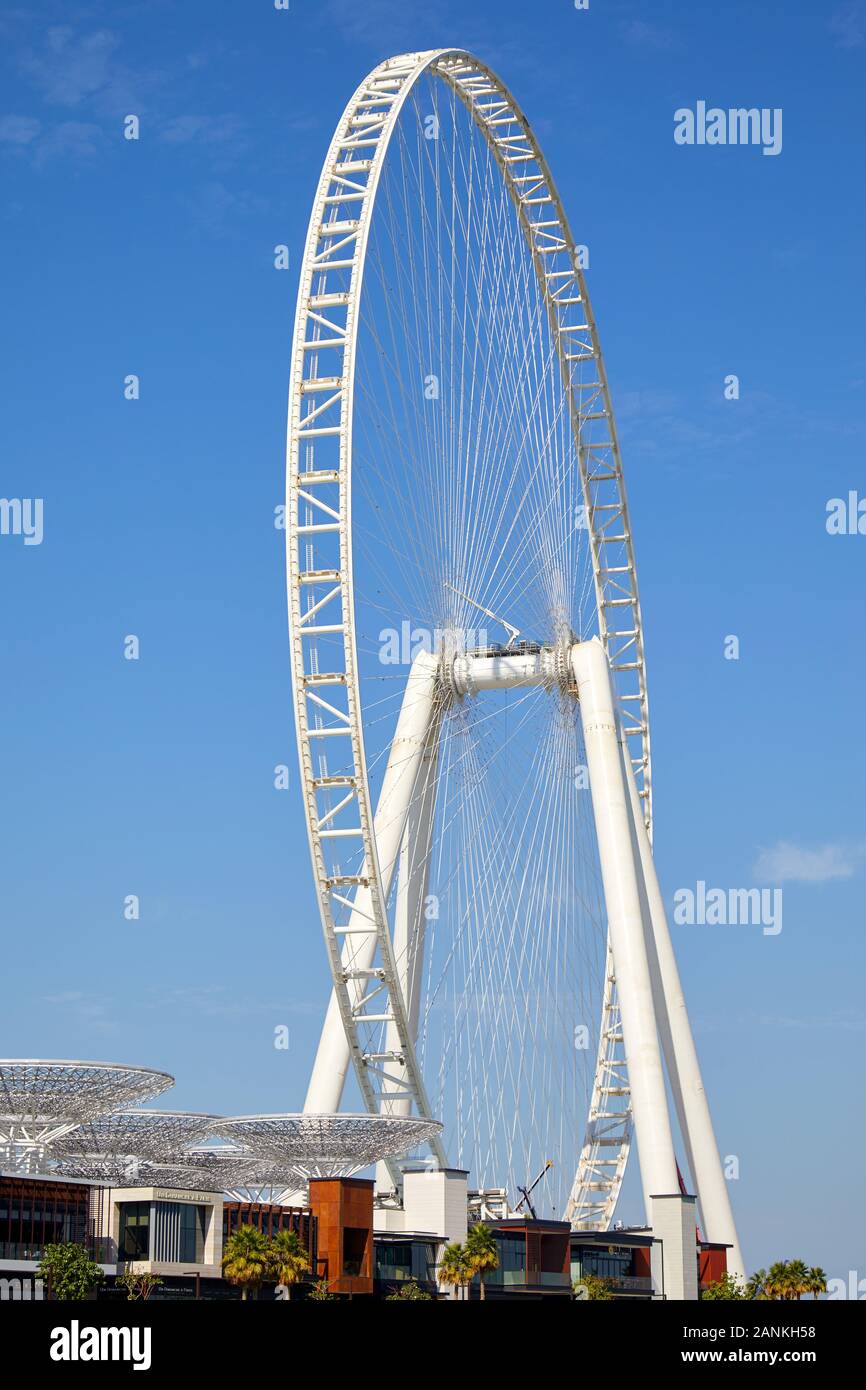 Dubaï, Émirats arabes unis - le 23 novembre 2019 : Ain Dubai, la plus grande roue panoramique dans une journée ensoleillée, ciel bleu clair à Dubaï Banque D'Images
