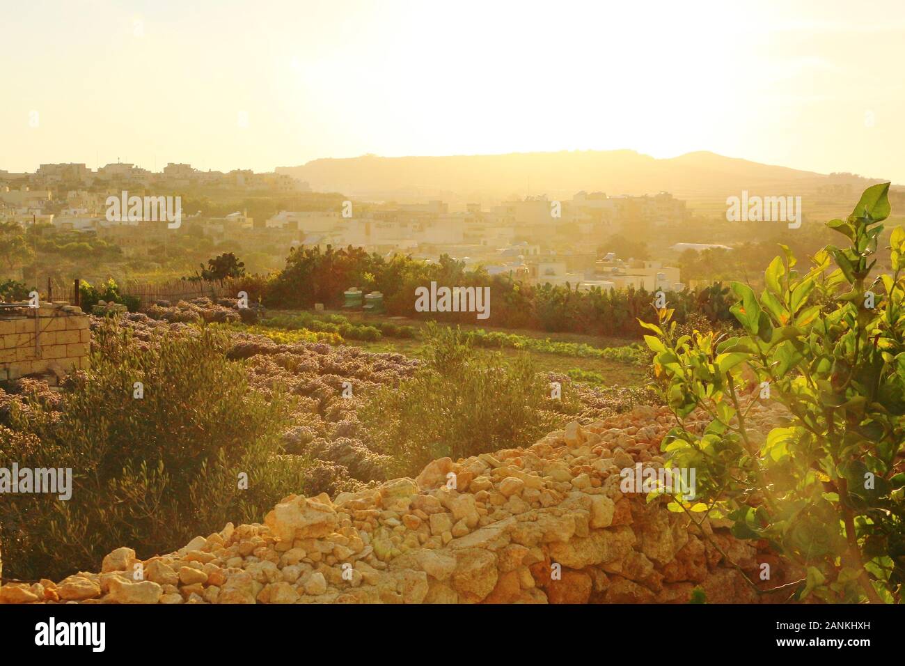 Magnifique ambiance de coucher de soleil à l'intérieur de l'île Gozo à Malte. Photo prise de Vue sur le Pays Chambres d'hôtes à Victoria. Banque D'Images