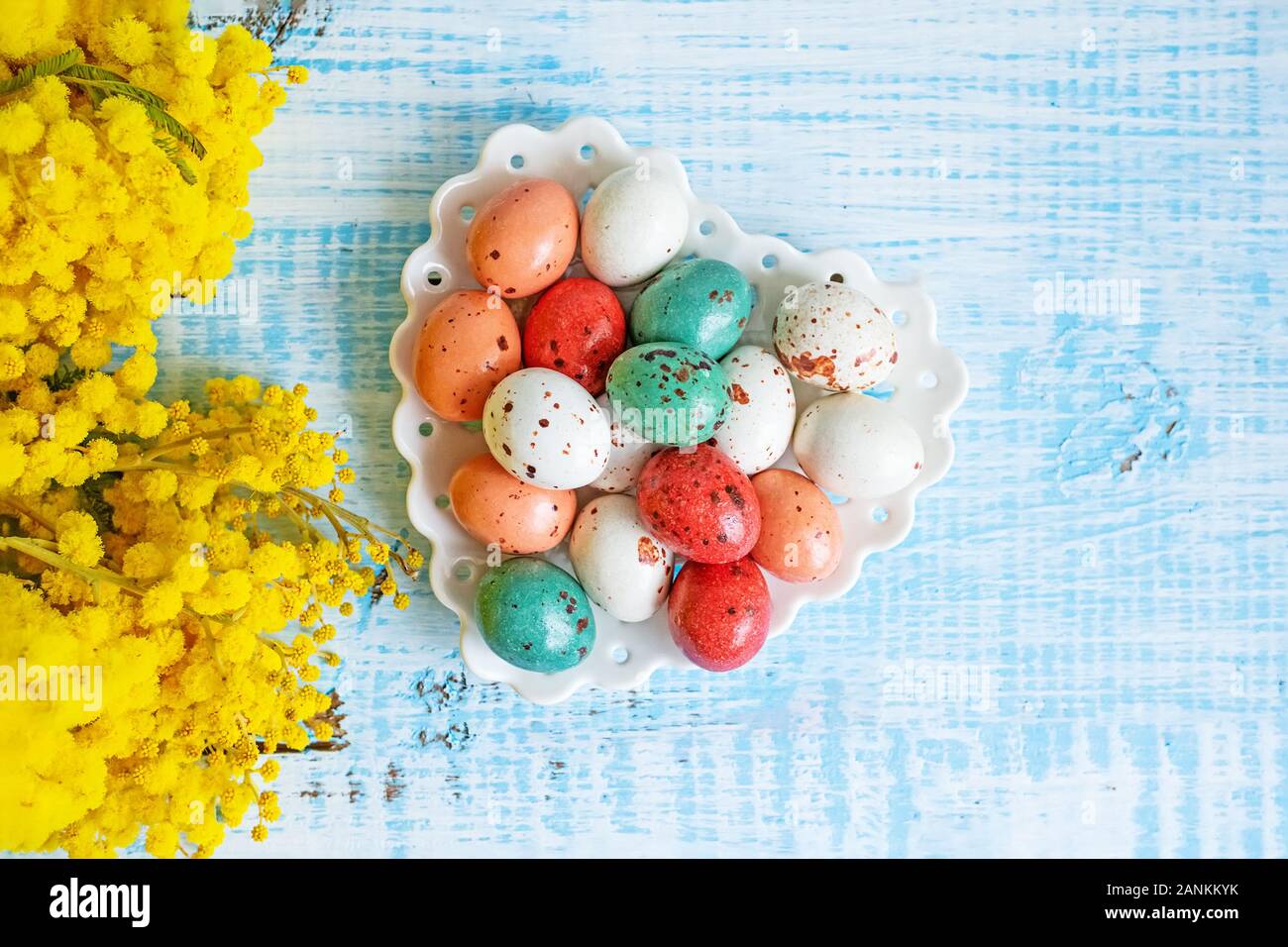 Composition de printemps pâques bonbons de couleur sous la forme d'oeufs sur une plaque blanche en forme de cœur. Fond en bois bleu avec fleurs Mimosa Banque D'Images