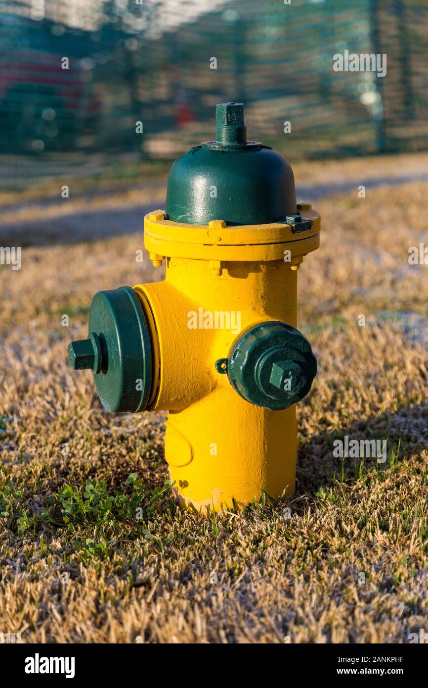 Jaune et vert, couleur d'incendie utilisés pour fournir un volume élevé d'eau Banque D'Images