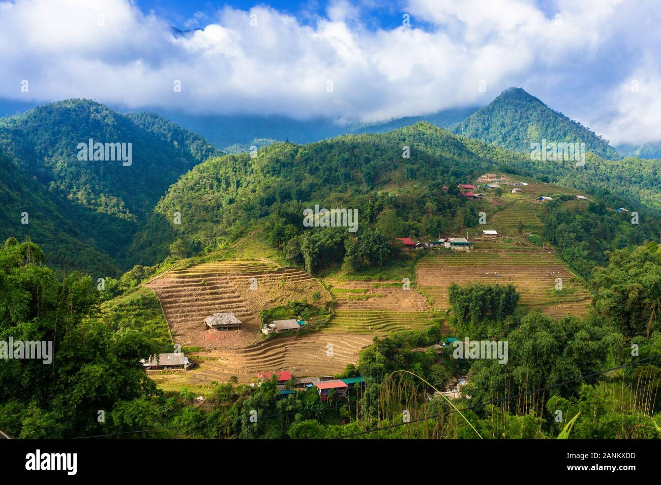Belle vue des terrasses de riz de montagne et dans les nuages. Cat Cat, village touristique populaire destination de trekking. Banque D'Images