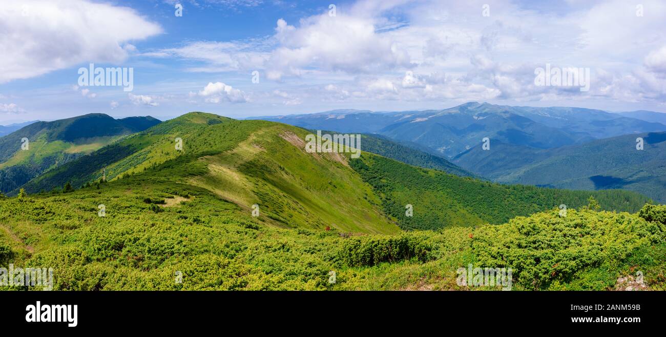 Paysage de montagne et le tourisme de randonnée. concept. collines et crêtes lointaines. vert herbeuses. ensoleillé avec des nuages en été Banque D'Images