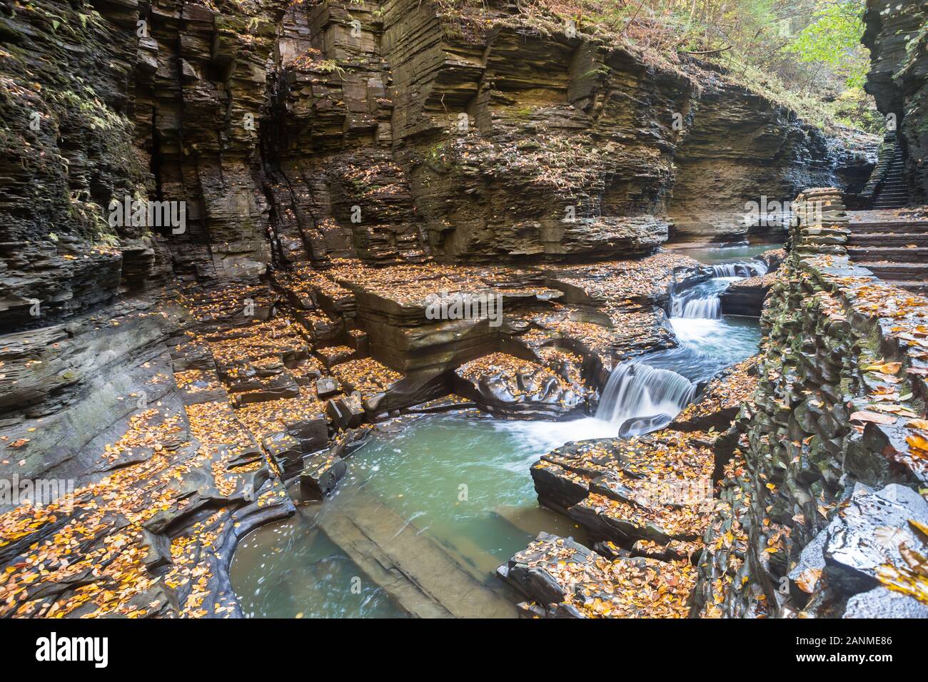 Watkins Glen State Park dans le nord de New York dans la région des lacs Finger. Banque D'Images