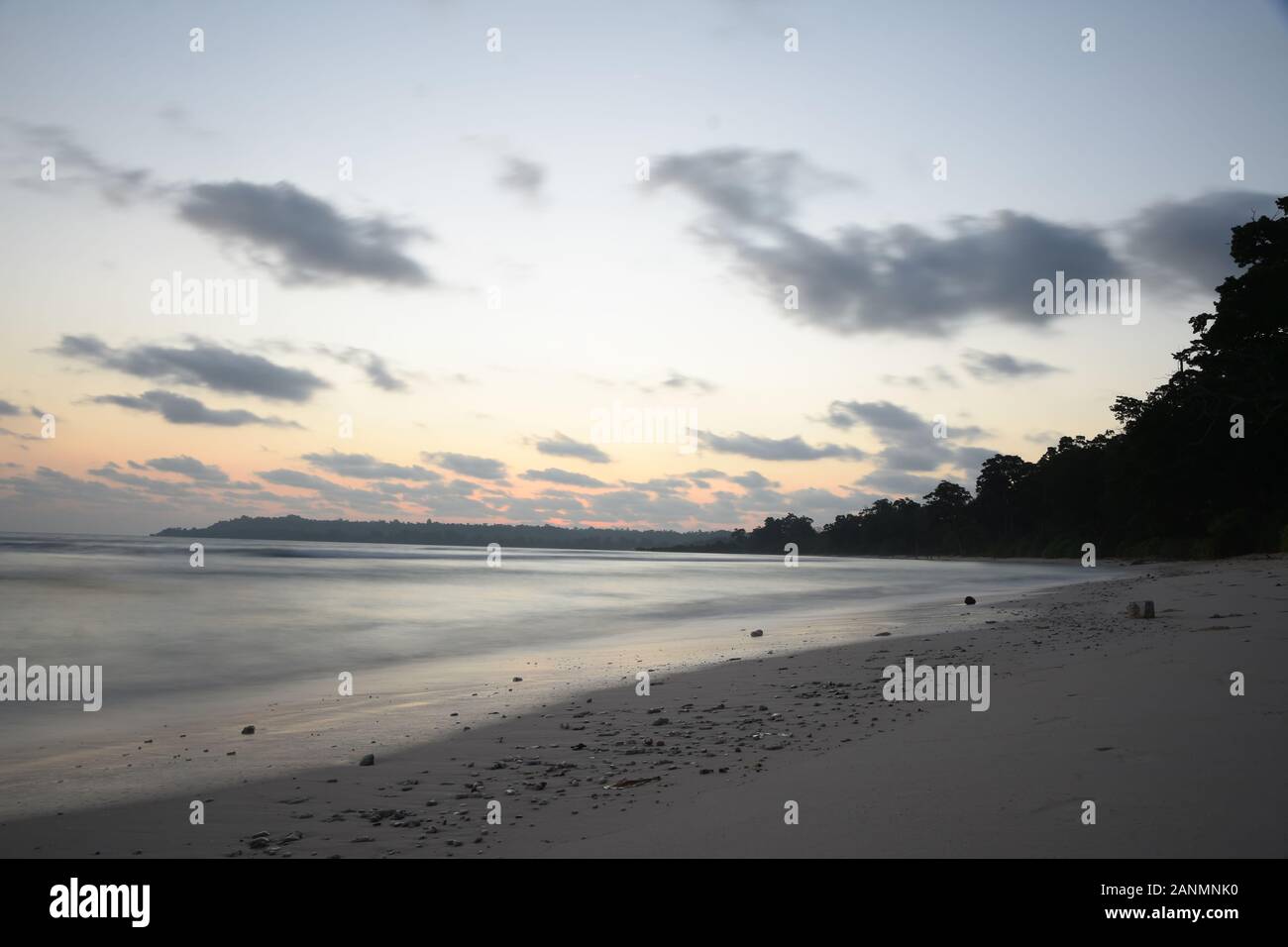 Paysage marin tôt le matin avec arbre sur la rive de l'île neil aux îles andaman et nicobar Banque D'Images