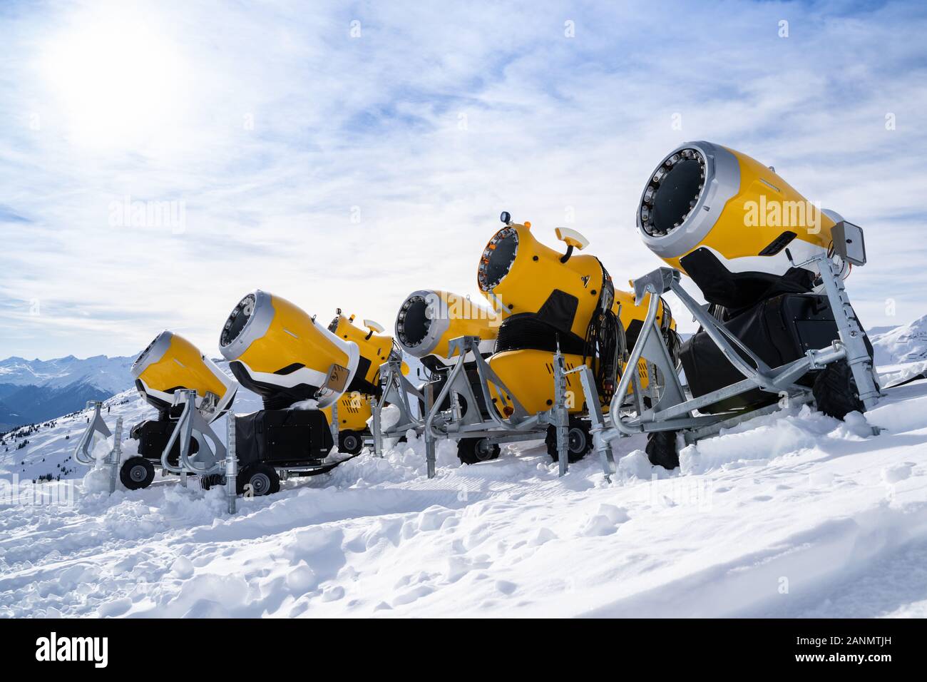 Rangée de truie jaune Bois contre Ciel nuageux Banque D'Images