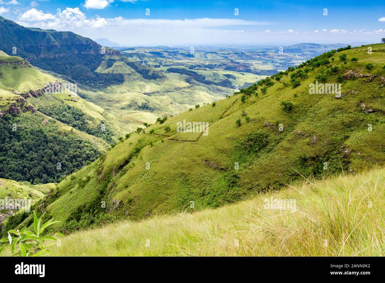 Vue panoramique sur les montagnes escarpées et vert lumineux et Meadows, journée ensoleillée, Drakensberg, Giants Castle Game Reserve, Afrique du Sud Banque D'Images