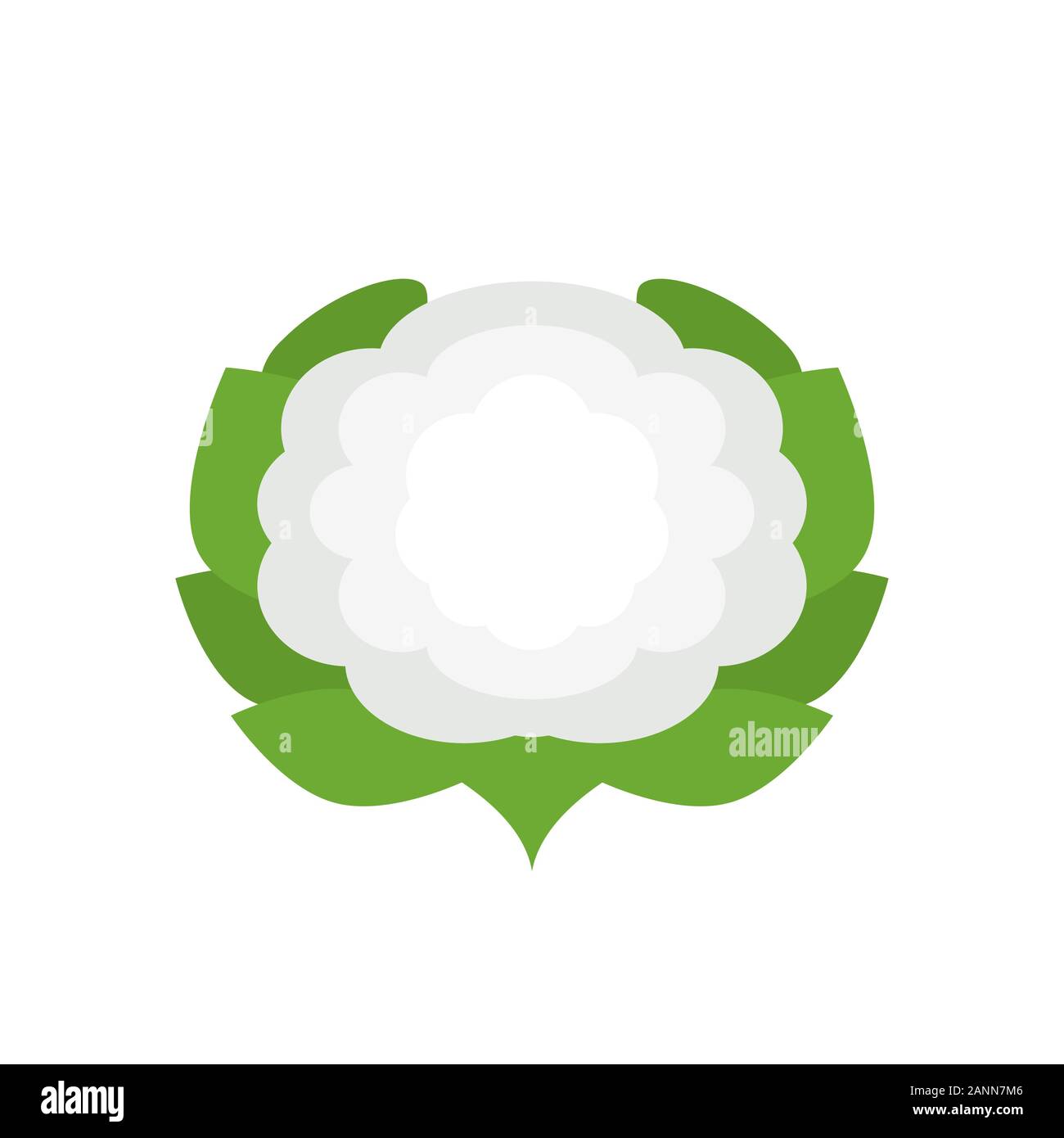 Le chou-fleur cartoon isolé sur fond blanc. Légumes frais biologiques. Chou-fleur unique.L'alimentation végétarienne et végétalienne. L'agriculture en bonne santé. Illustration de Vecteur
