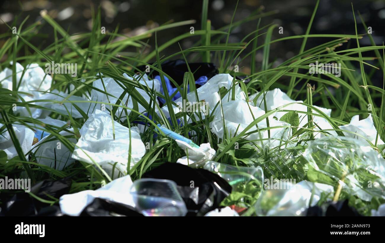 Avec l'enfouissement des déchets de plastique à river valley, impact négatif sur l'habitat de la faune Banque D'Images