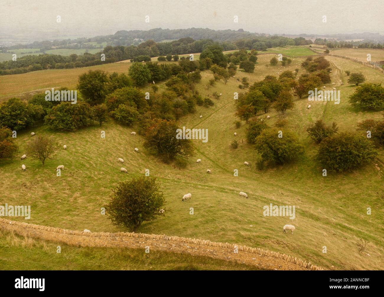 Vue sur la campagne environnante depuis le Cotswolds rural haut de Broadway Tower, Worcestershire Banque D'Images