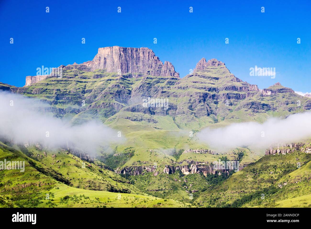 Cathkin Peak, Monk's Cowl et Champagne Château sur une journée ensoleillée et un ciel bleu, Drakensberg, Afrique du Sud Banque D'Images