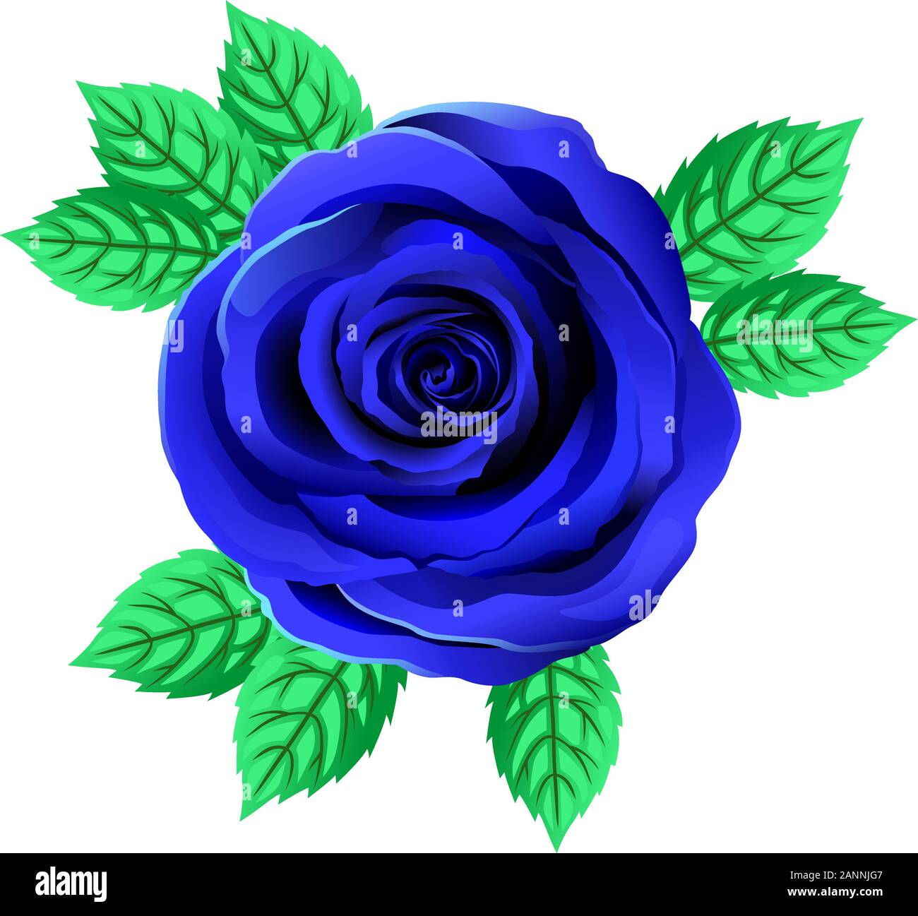 Bleu pour toi rose Banque d'images détourées - Alamy