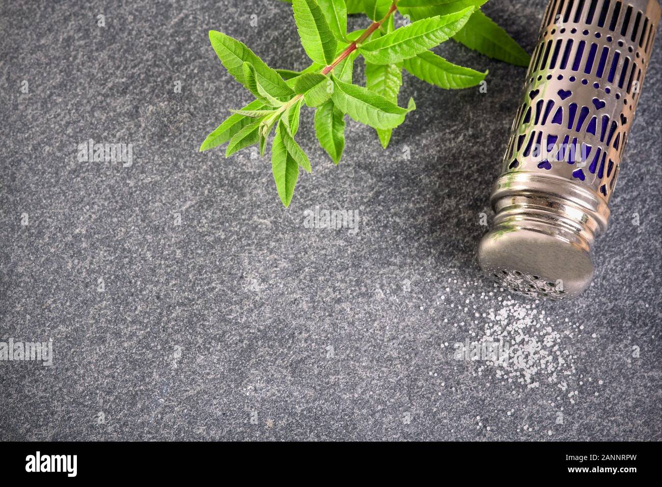 Cave à sel et verveine de citron sur une ardoise Banque D'Images
