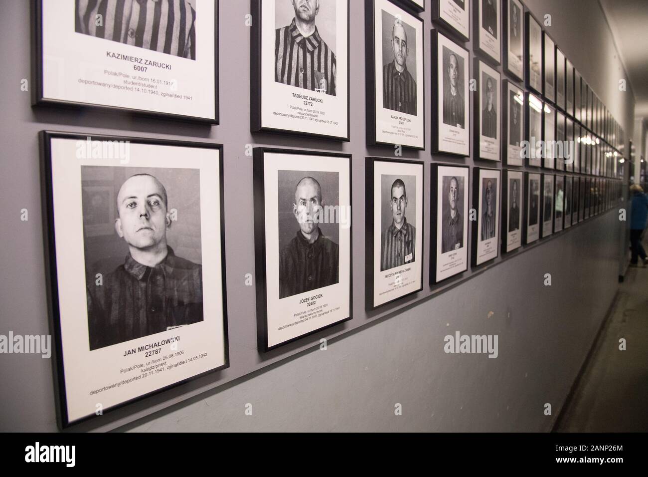Photos de détenus en exposition dans le bloc 7 (7) dans la caserne allemande nazie Konzentrationslager Auschwitz I Stammlager (camp de concentration Auschwitz I L Banque D'Images