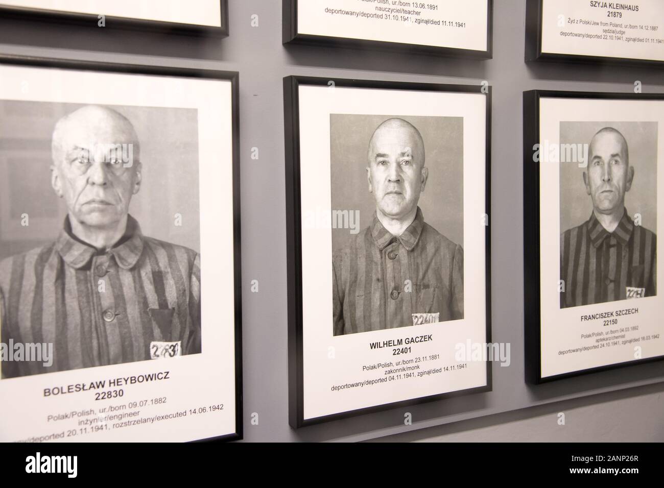 Photos de détenus en exposition dans le bloc 7 (7) dans la caserne allemande nazie Konzentrationslager Auschwitz I Stammlager (camp de concentration Auschwitz I L Banque D'Images