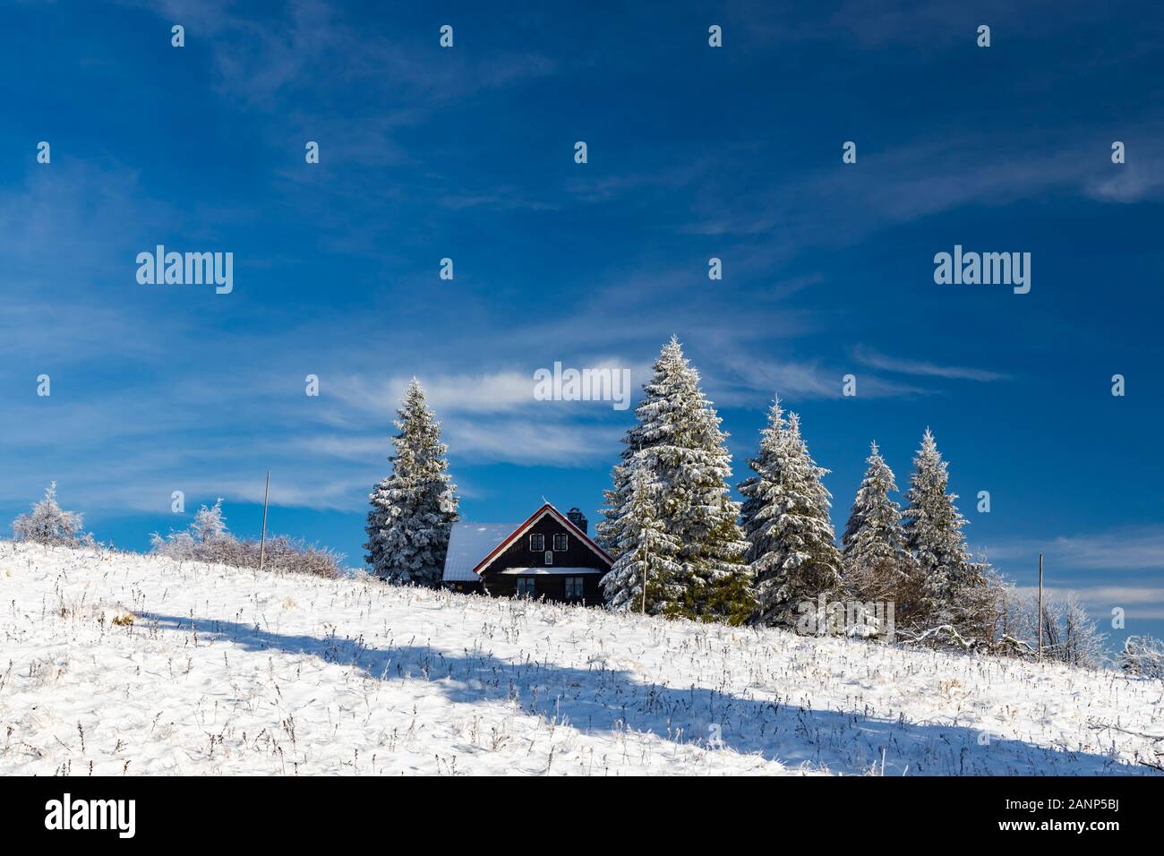 En hiver les montagnes Orlicke, République Tchèque Banque D'Images