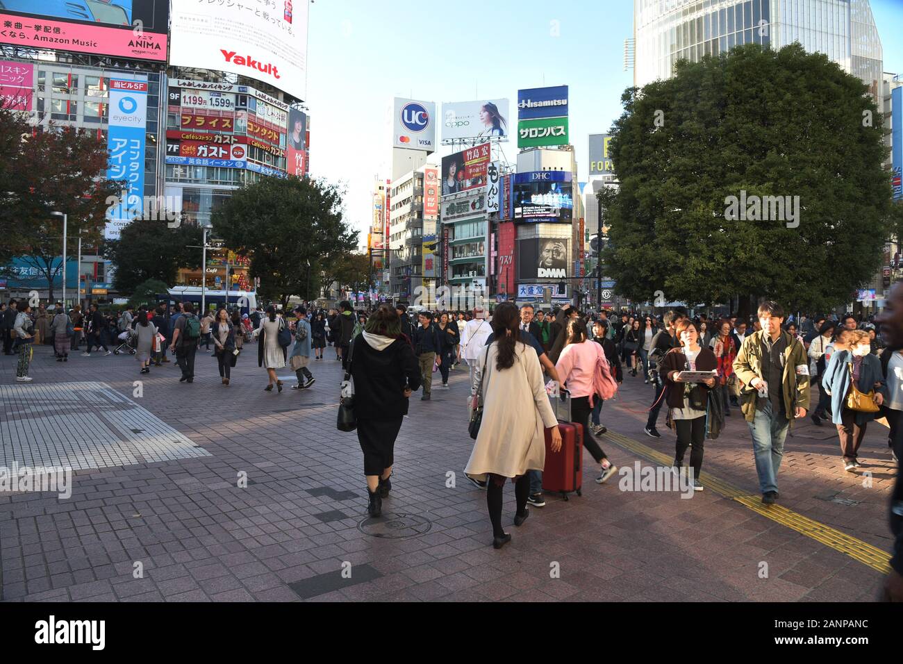 Vue sur la rue dans le quartier de Shibuya, Tokyo Banque D'Images