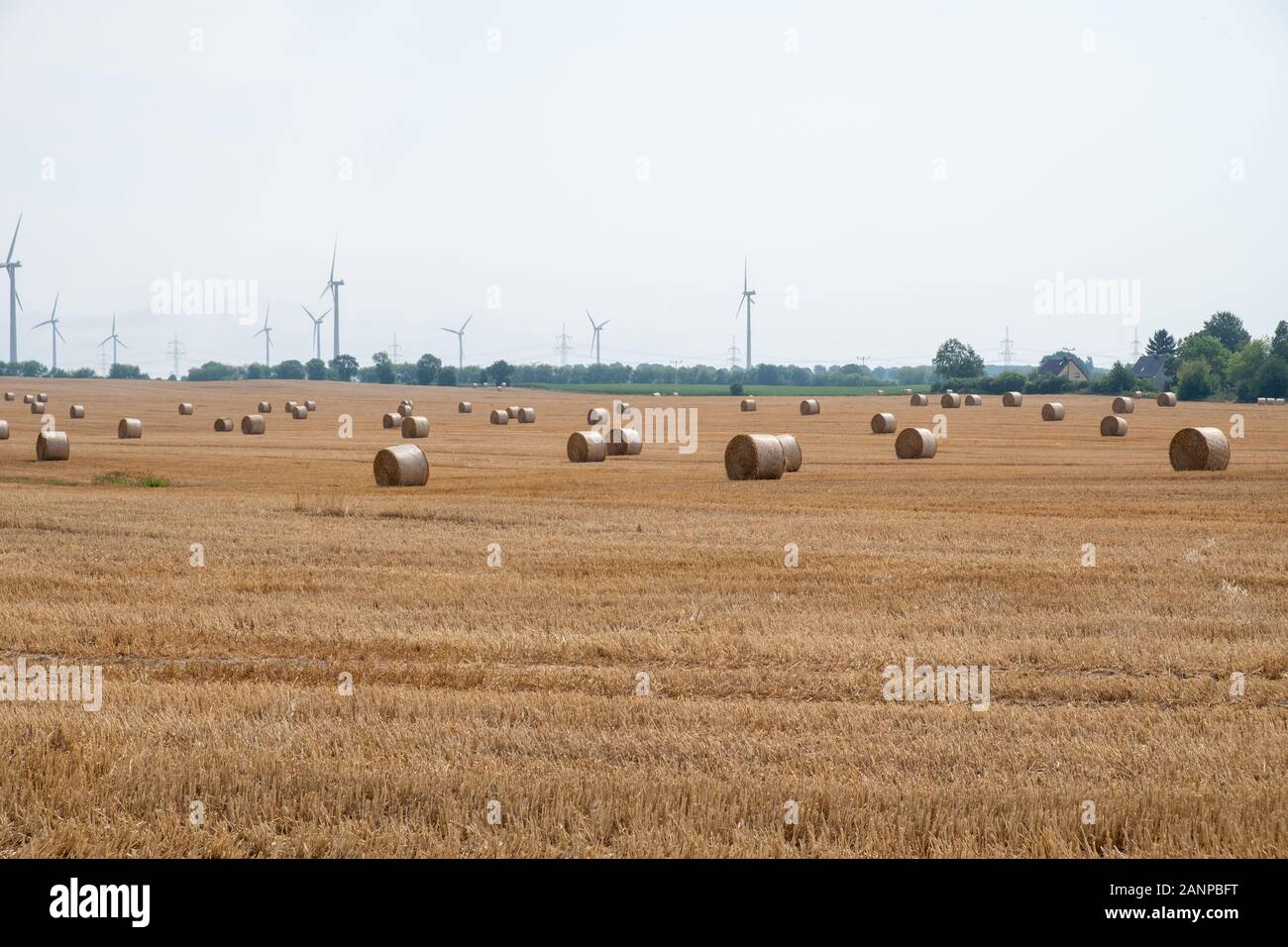 Tour de bottes de paille après la récolte dans un grand champ au cours de la journée. Banque D'Images