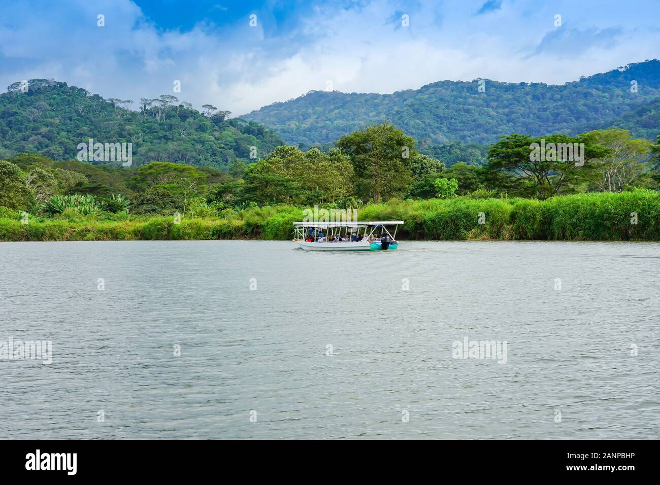, De La Faune et des oiseaux les animaux le long de la rivière Herradura à Puntarenas, Costa Rica, Amérique Centrale, croisière pour touristes, Banque D'Images