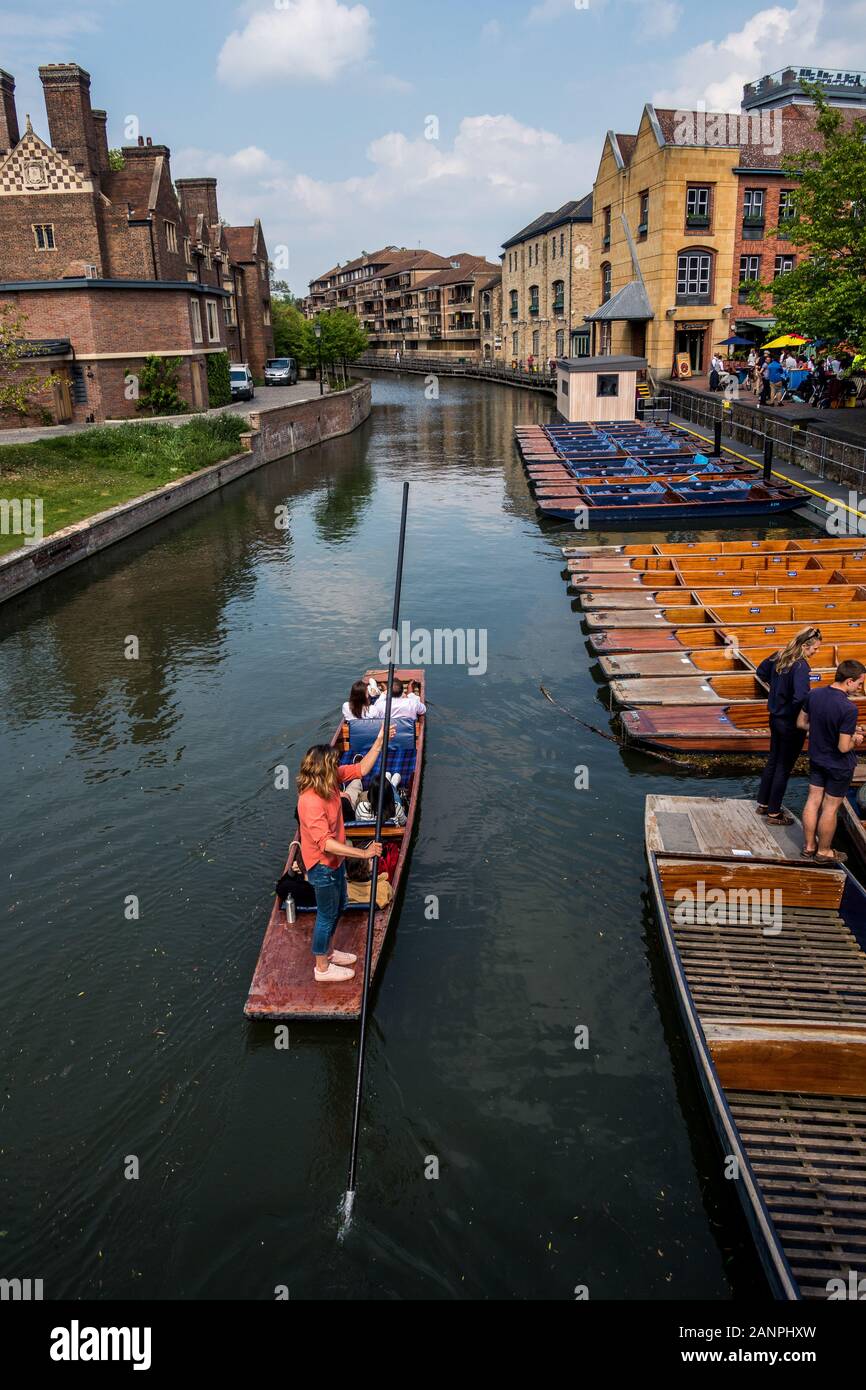 Promenades en barque sur la rivière Cam Cambridge Banque D'Images