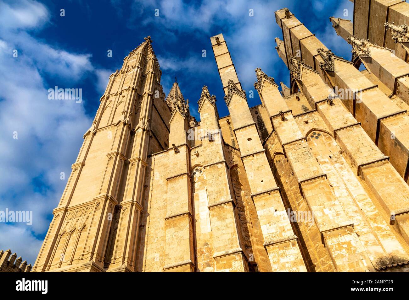 Extérieur de la cathédrale de Palma, Palma, Majorque, Espagne Banque D'Images
