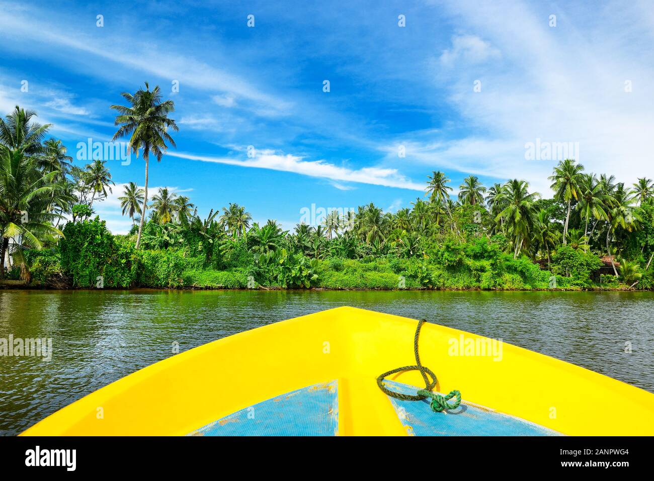 En bateau voyage à la côte pittoresque avec Rainforest. Banque D'Images