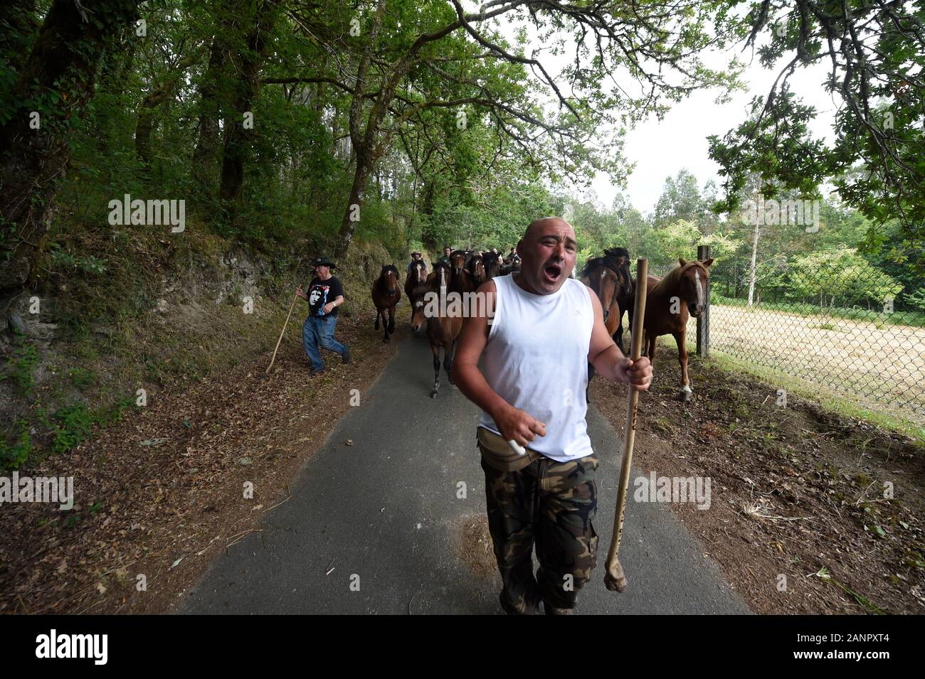 SABUCEDO, ESPAGNE - 6-7 juillet 2019 - La RAPA DAS BESTAS (Cisaillement des bêtes) 2019 tenue à Sabucedo Galice Espagne Banque D'Images