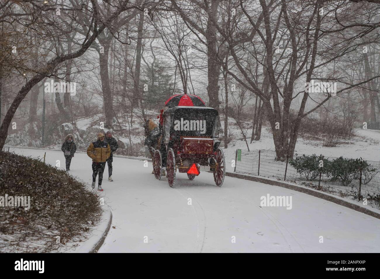 New York, New York, USA. 18 janvier, 2020. La neige est tombée sur la région de Central Park de New York, aux États-Unis ce samedi, 18 Crédit : William Volcov/ZUMA/Alamy Fil Live News Banque D'Images