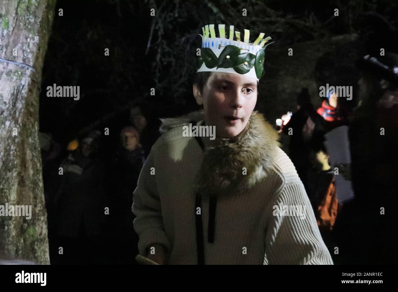 Stoke Gabriel. Le sud du Devon, UK, 18 janvier 2020 - Des centaines de personnes ont participé à une cérémonie dans le sud Wassail Devon village de Stoke Gabriel. Wassail une reine et roi monter une applre arbre et accrocher le pain trempé dans le cidre pour avertir les mauvais esprits, et d'encourager une moisson - Natasha Quarmby/ ALAMY LIve News Banque D'Images