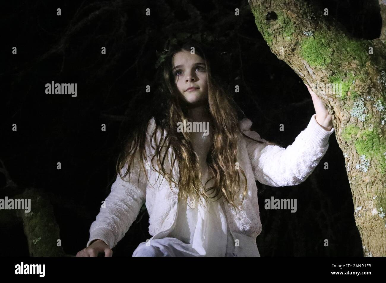 Stoke Gabriel. Le sud du Devon, UK, 18 janvier 2020 - Des centaines de personnes ont participé à une cérémonie dans le sud Wassail Devon village de Stoke Gabriel. Wassail une reine et roi monter une applre arbre et accrocher le pain trempé dans le cidre pour avertir les mauvais esprits, et d'encourager une moisson - Natasha Quarmby/ ALAMY LIve News Banque D'Images