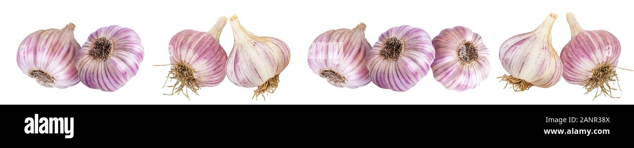 L'ail isolé sur fond blanc Banque D'Images