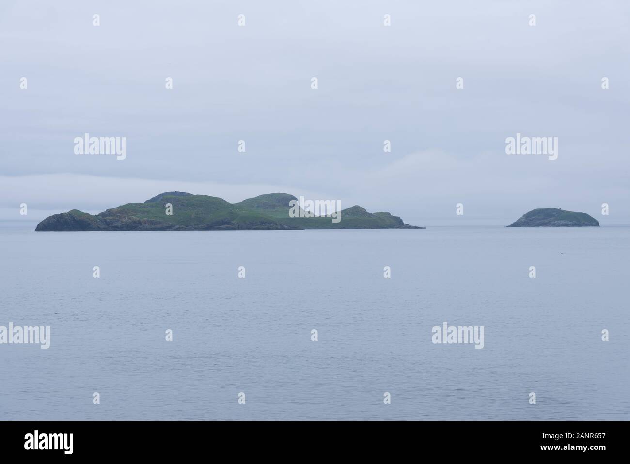 Entraînement Irish Loop, Terre-Neuve, Canada. Route panoramique et historique sur la Route 10 dans le cœur de l'Irlandais Terre-Neuve et le monde magique de baleines, s Banque D'Images