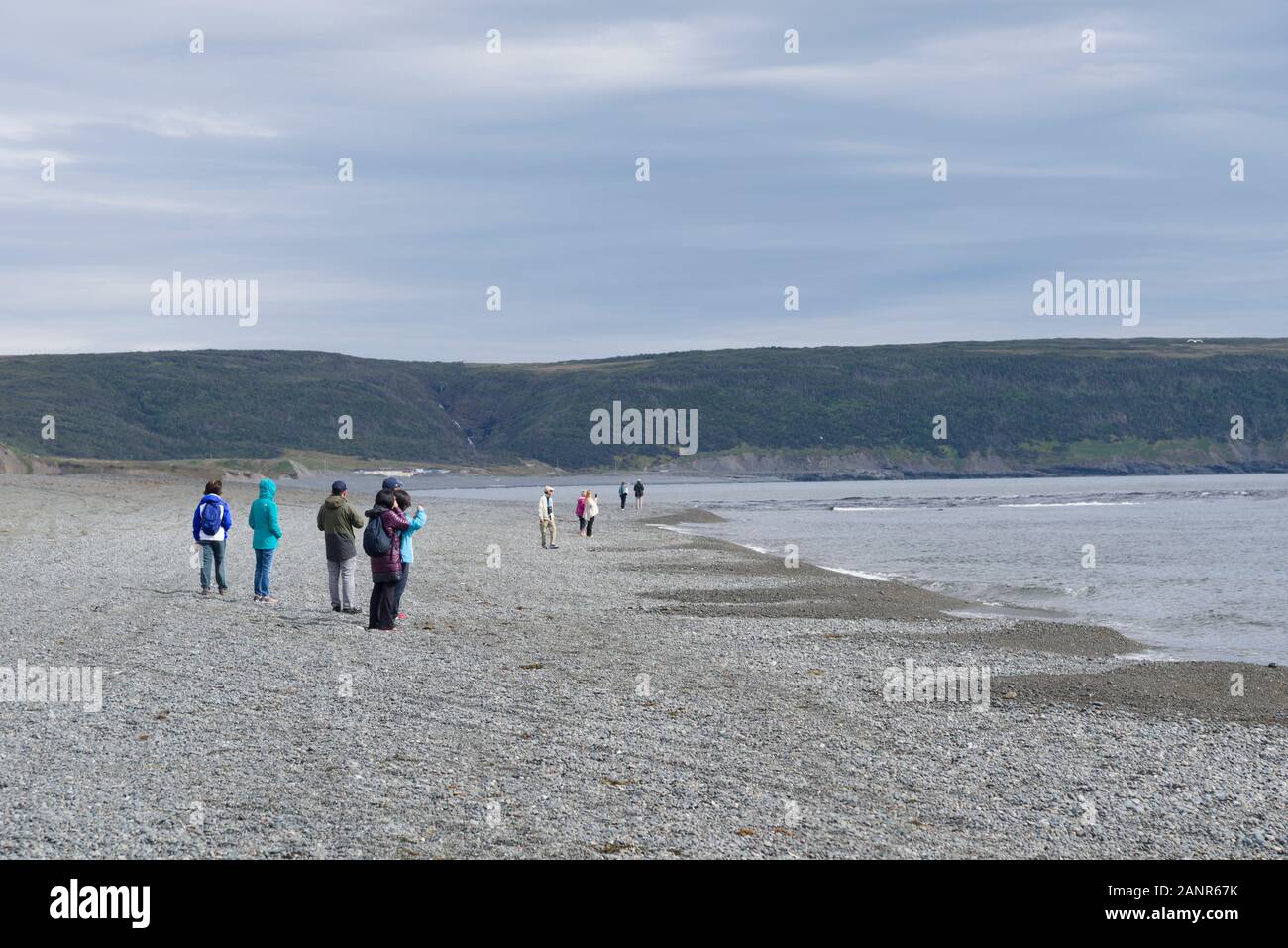 Scenic spot de St Vincent's beach, Terre-Neuve, Canada. Arrêter et profiter des magnifiques baleines à bosse près de la côte. Banque D'Images