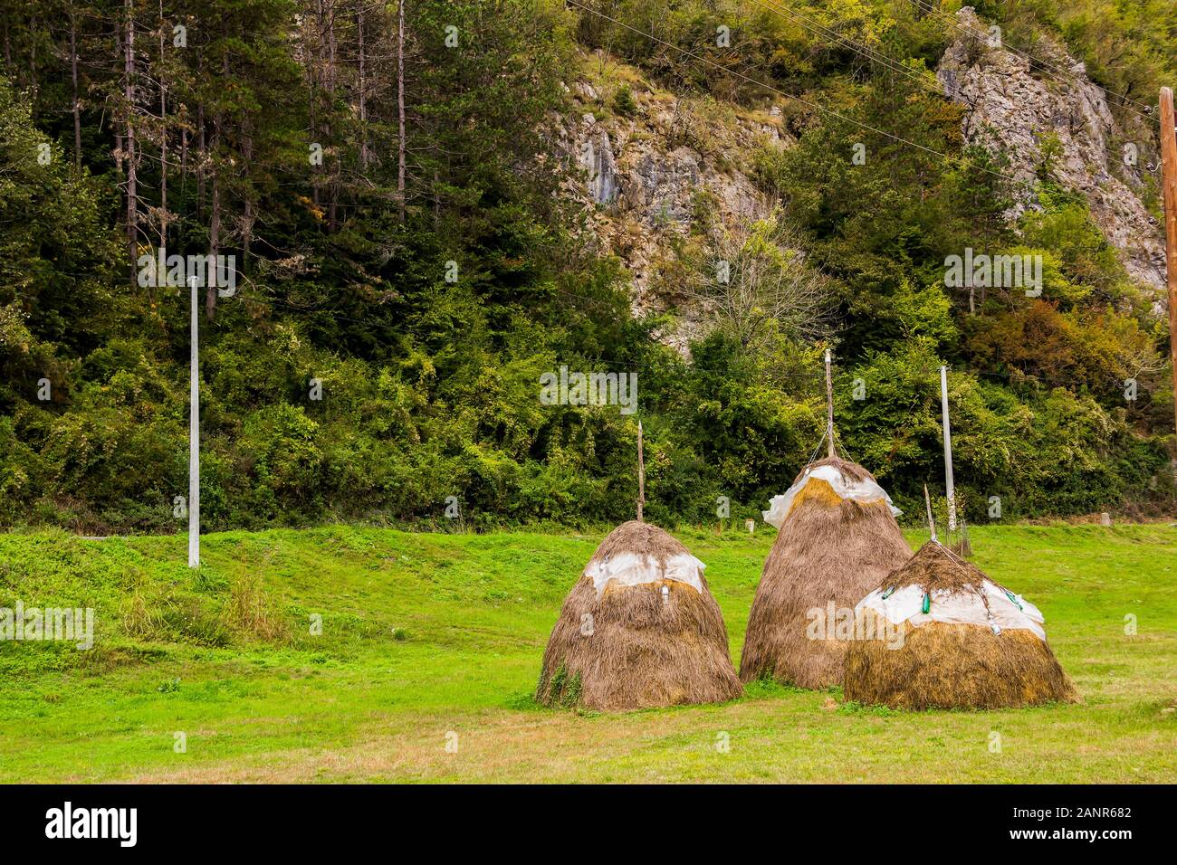 Meules couvertes par une feuille de plastique comme protection contre la pluie sur un domaine rural dans les montagnes. Beau paysage de campagne Banque D'Images