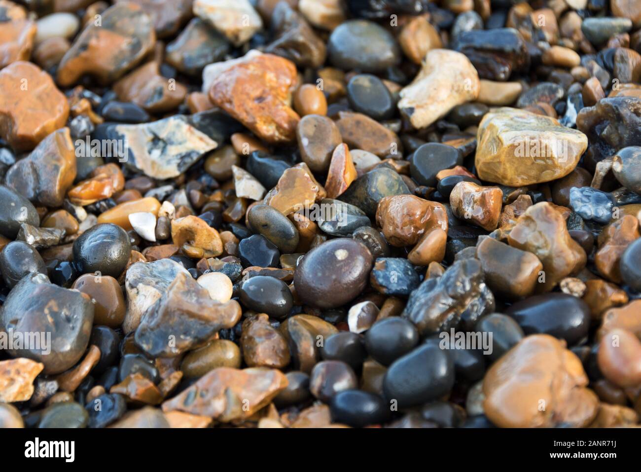 Nodules de Flint et pierres de rivière sur le front de mer de la Tamise, Greenwich, Londres. Banque D'Images