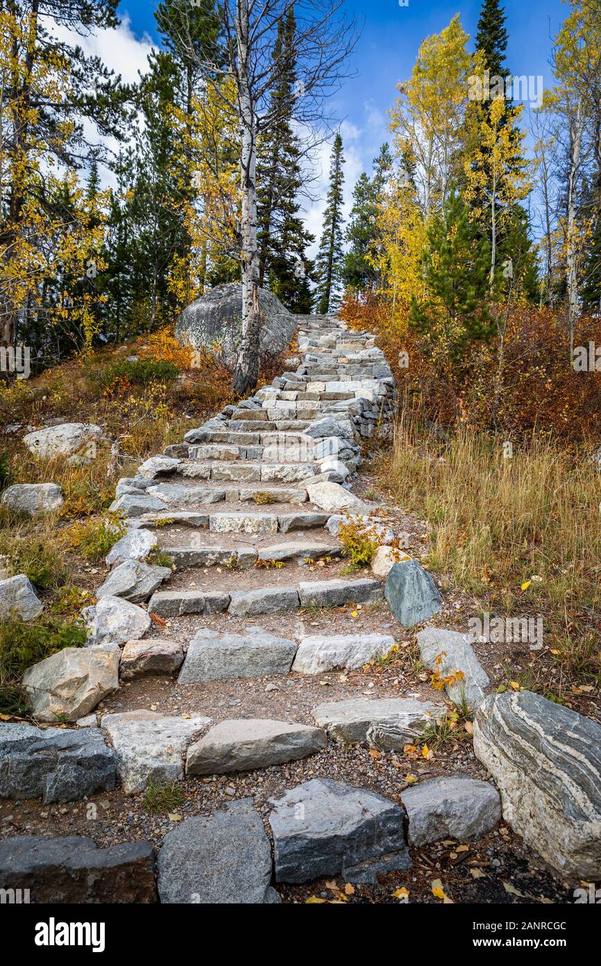 Escalier extérieur en pierre de changement de couleur à l'intérieur de la forêt du Parc National de Grand Teton, Wyoming, États-Unis. Banque D'Images