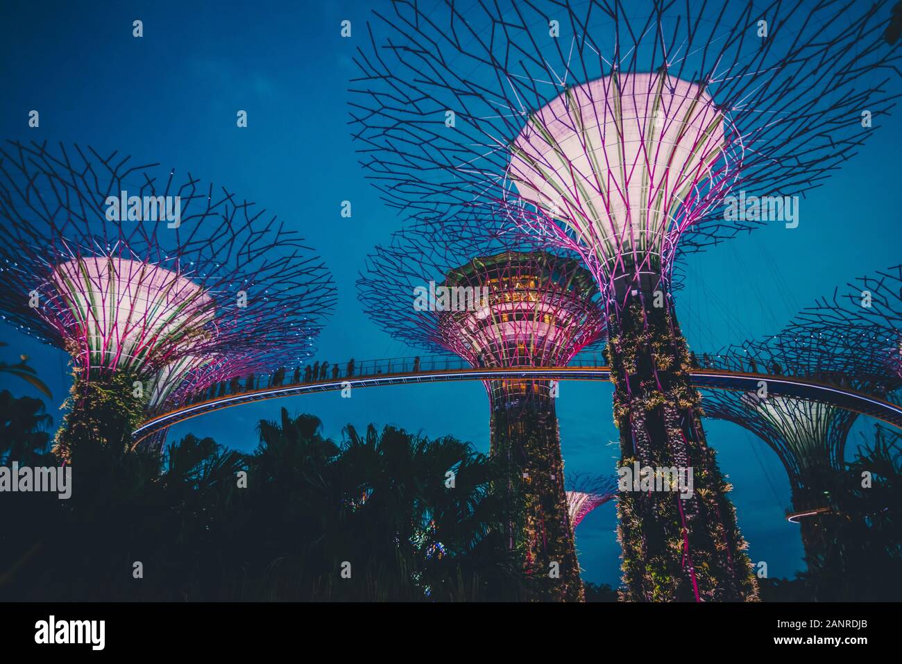 L'offre super arbres dans les jardins par l'attraction de la baie de Singapour Banque D'Images