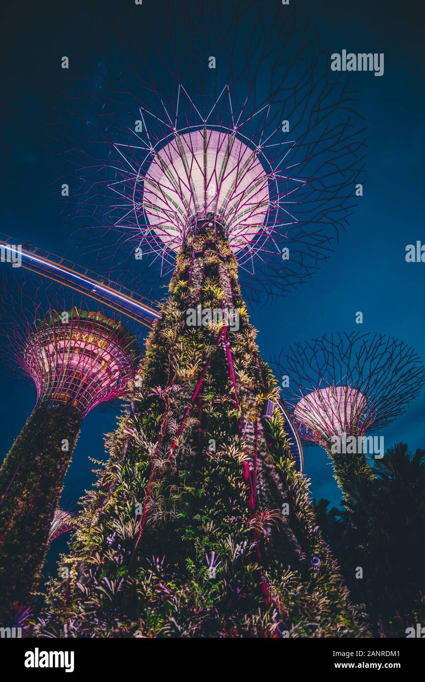 L'offre super arbres dans les jardins par l'attraction de la baie de Singapour Banque D'Images