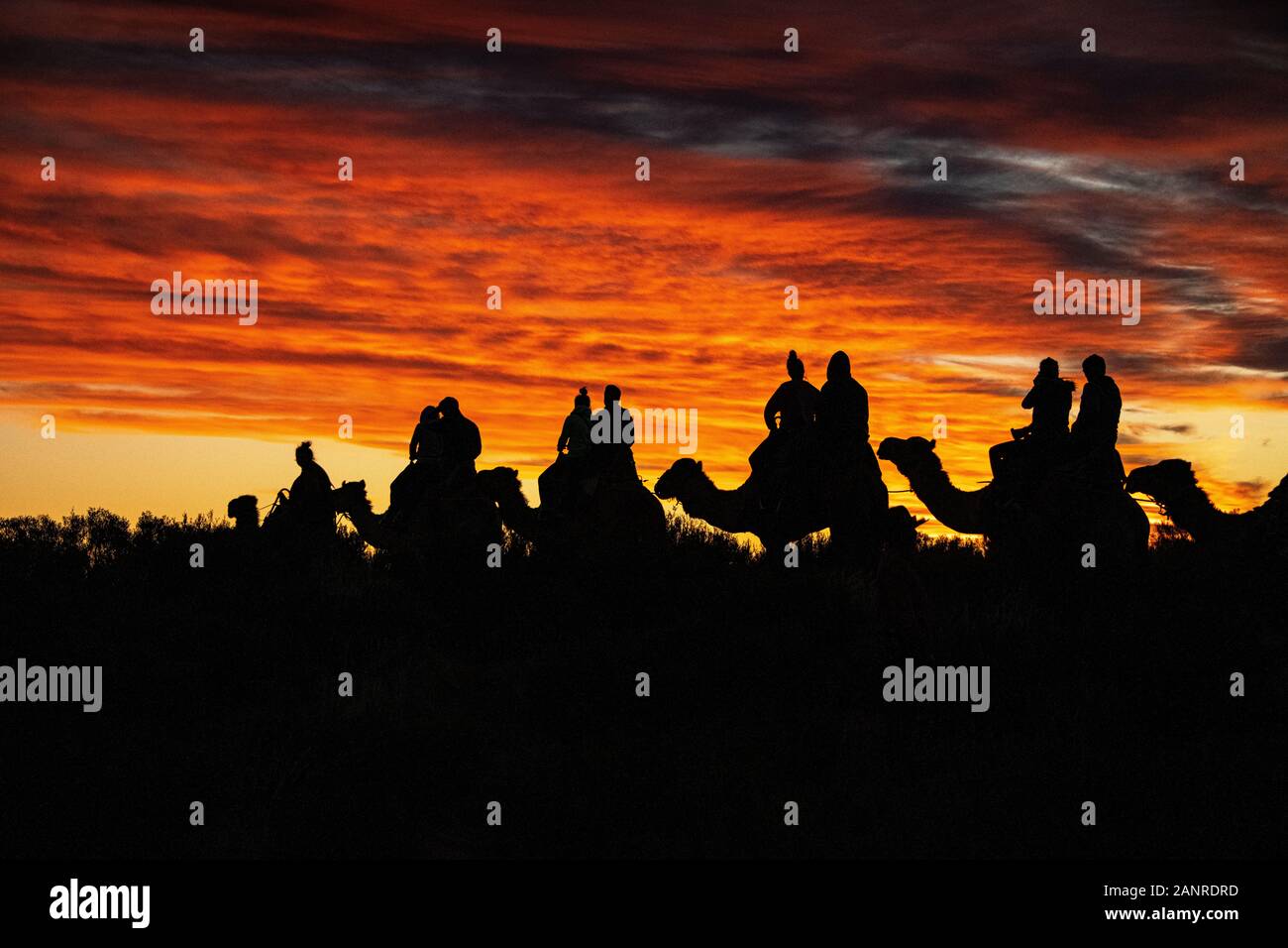 Une silhouette spectaculaire au coucher du soleil causée par un groupe de touristes lors d'une balade dans l'arrière-pays de l'Australie. Yulara, Territoire Du Nord, Australie Banque D'Images