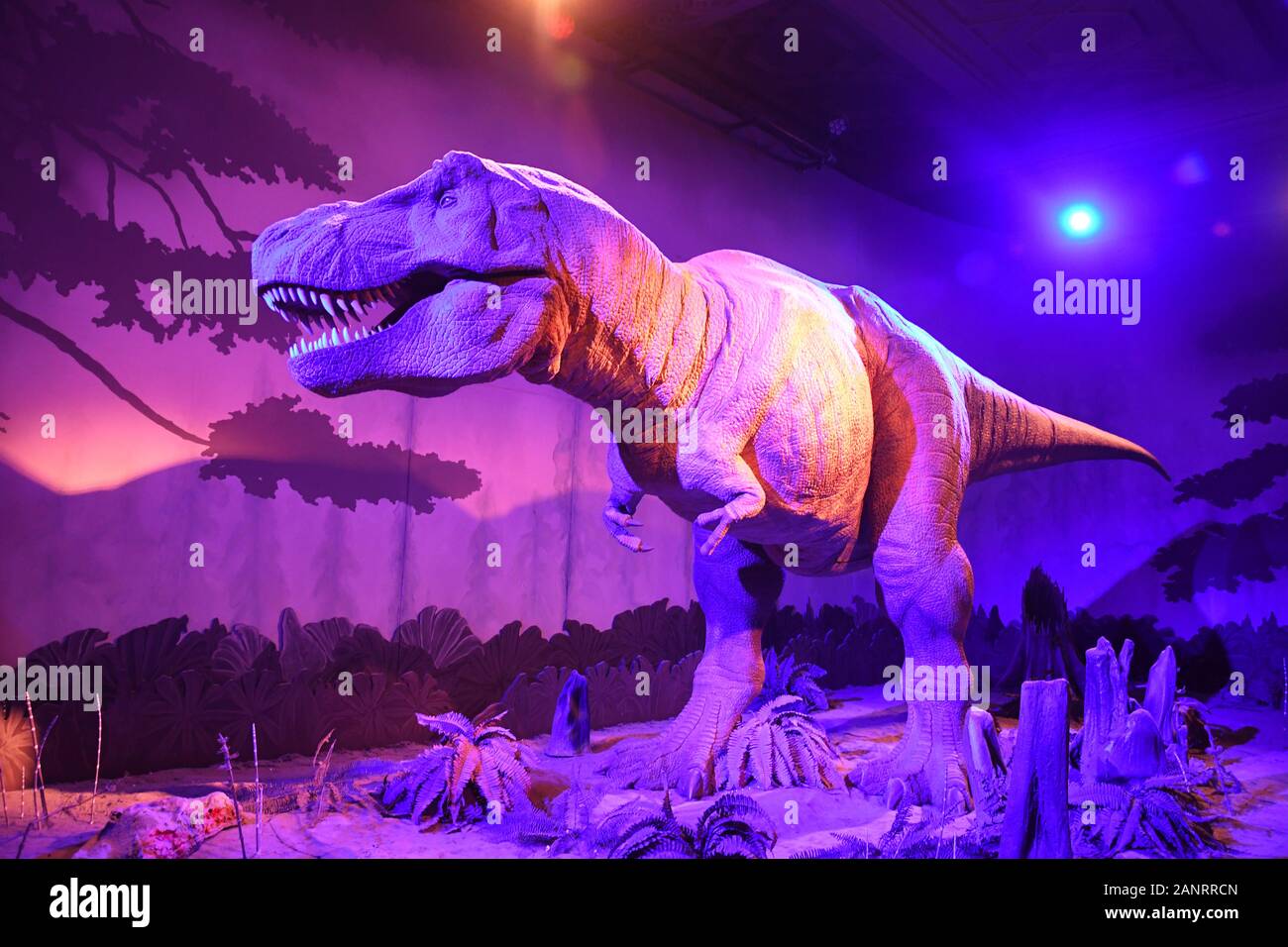 Un déménagement d'animatronic, T-Rex dans la la galerie des dinosaures au Natural History Museum, London, England, UK Banque D'Images