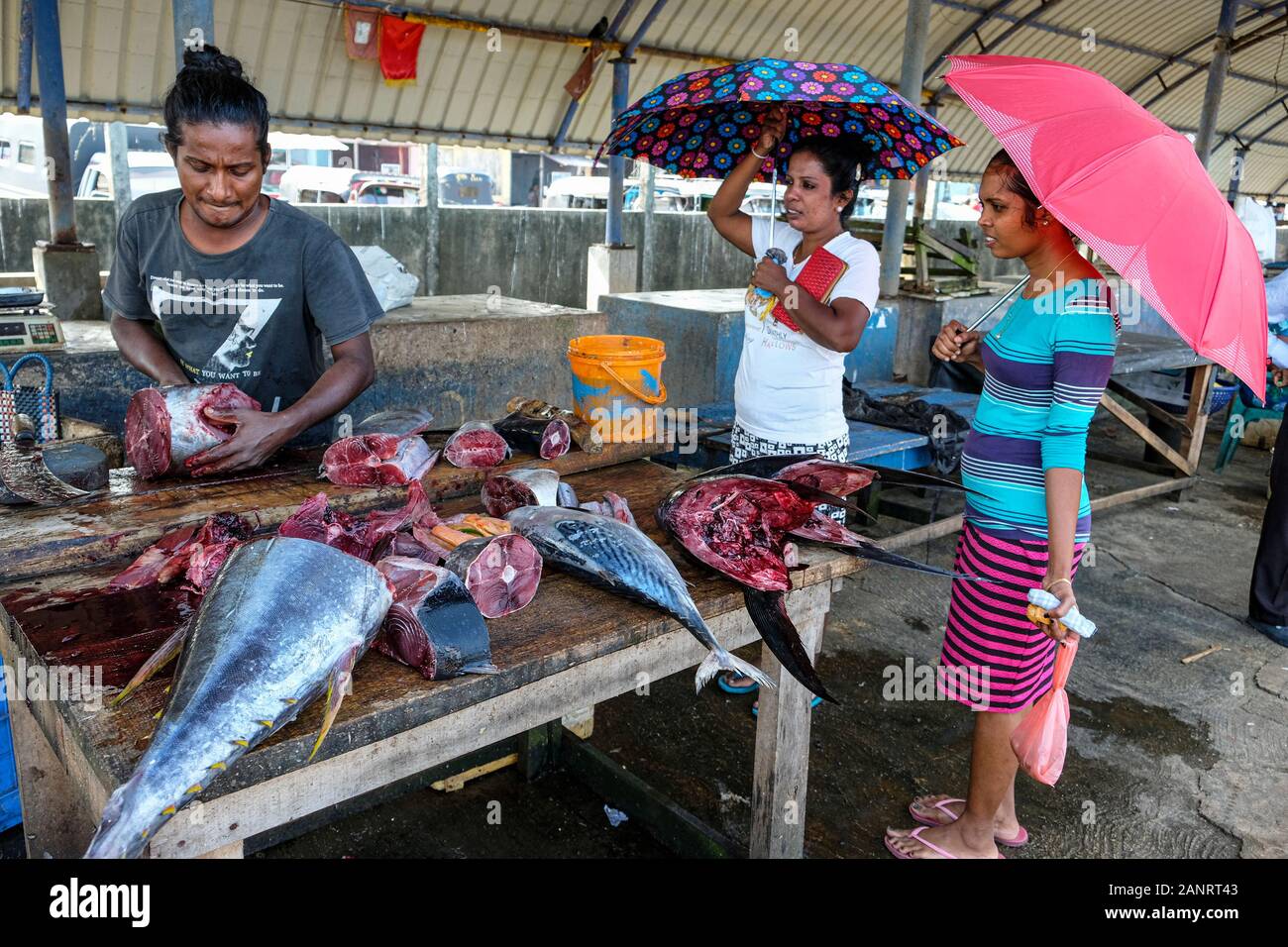 Negombo, Sri Lanka - Janvier 2020: Un vendeur de poissons coupant le thon sur le marché du poisson Negombo le 12 janvier 2020 à Negombo, Sri Lanka. Banque D'Images