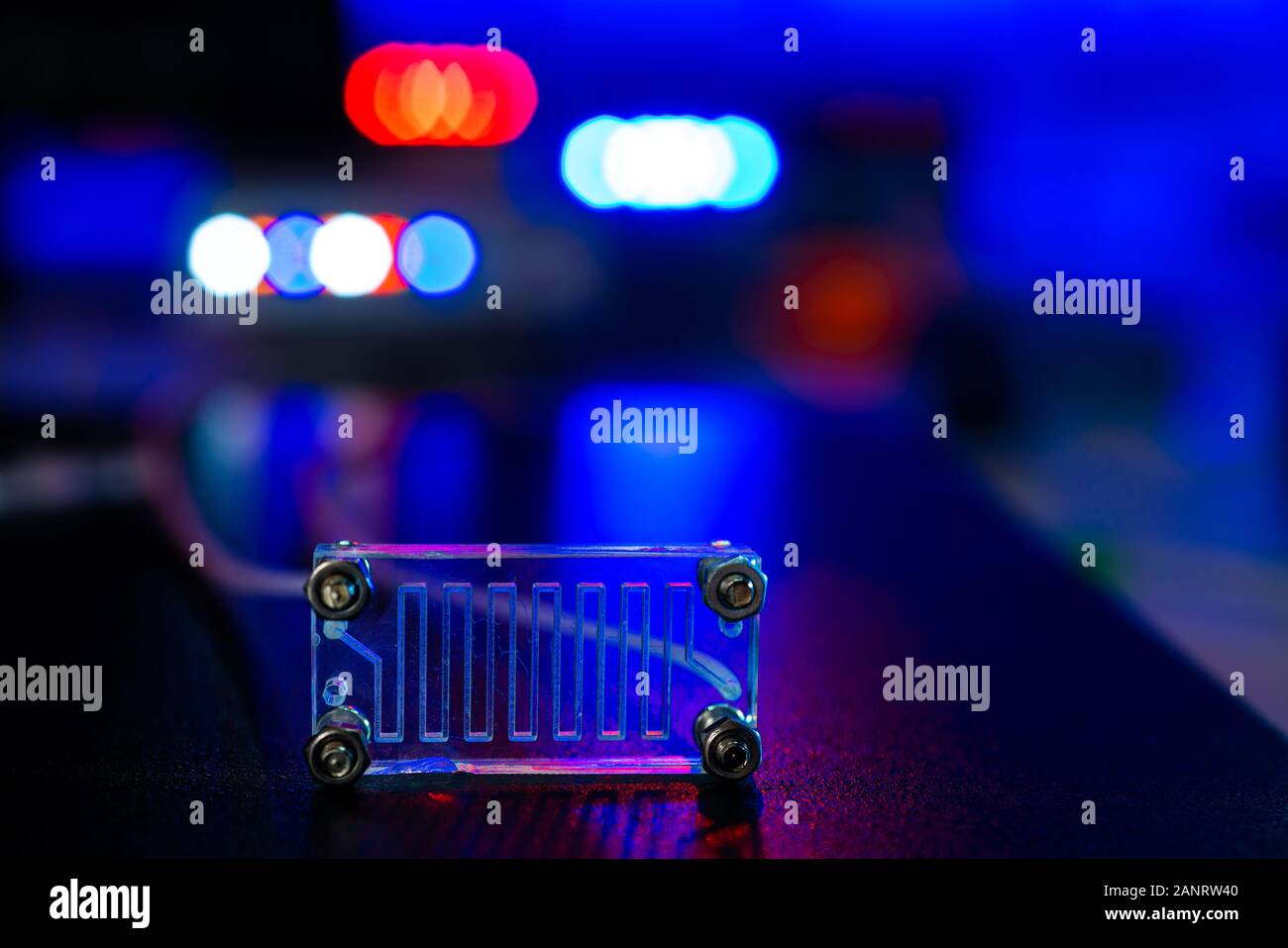 Organe-sur-puce (OOC) - dispositif microfluidique puce qui simule les organes biologiques c'est le type d'organes artificiels. Conception de prototypes de laboratoires sur puce Banque D'Images