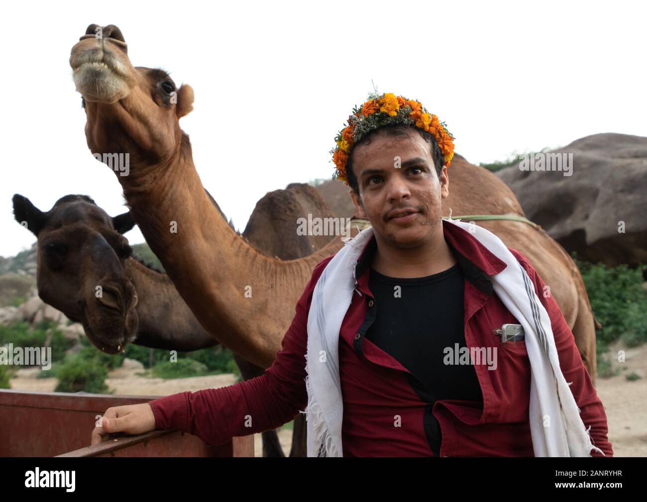 Portrait d'un homme avec des chameaux de fleurs de l'Arabie, la province de Jizan, en Arabie Saoudite, Alaydabi Banque D'Images