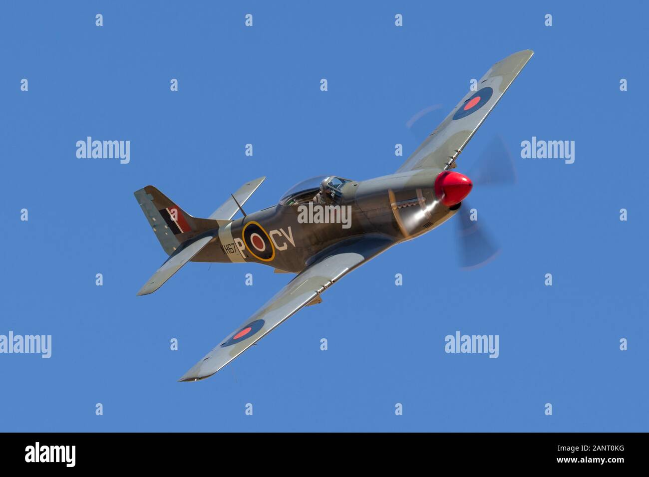 Commonwealth Aircraft Corporation CA-18 Mustang (North American P-51D Mustang) seconde guerre mondiale avion de chasse dans les inscriptions de Royal Australian Air forc Banque D'Images